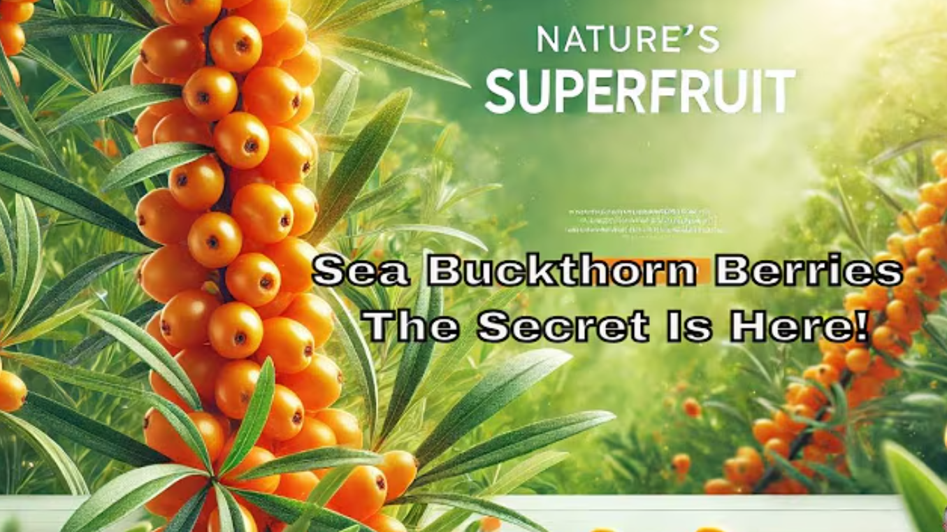 Sea Buckthorn amazing health benefits