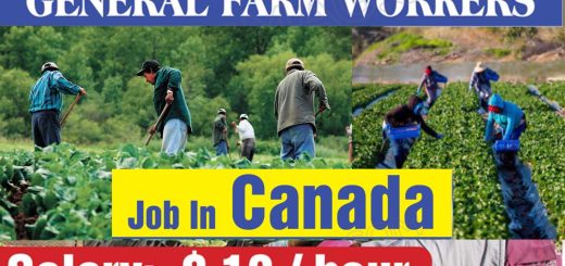 General Farm Worker Harvesting Jobs in Canada